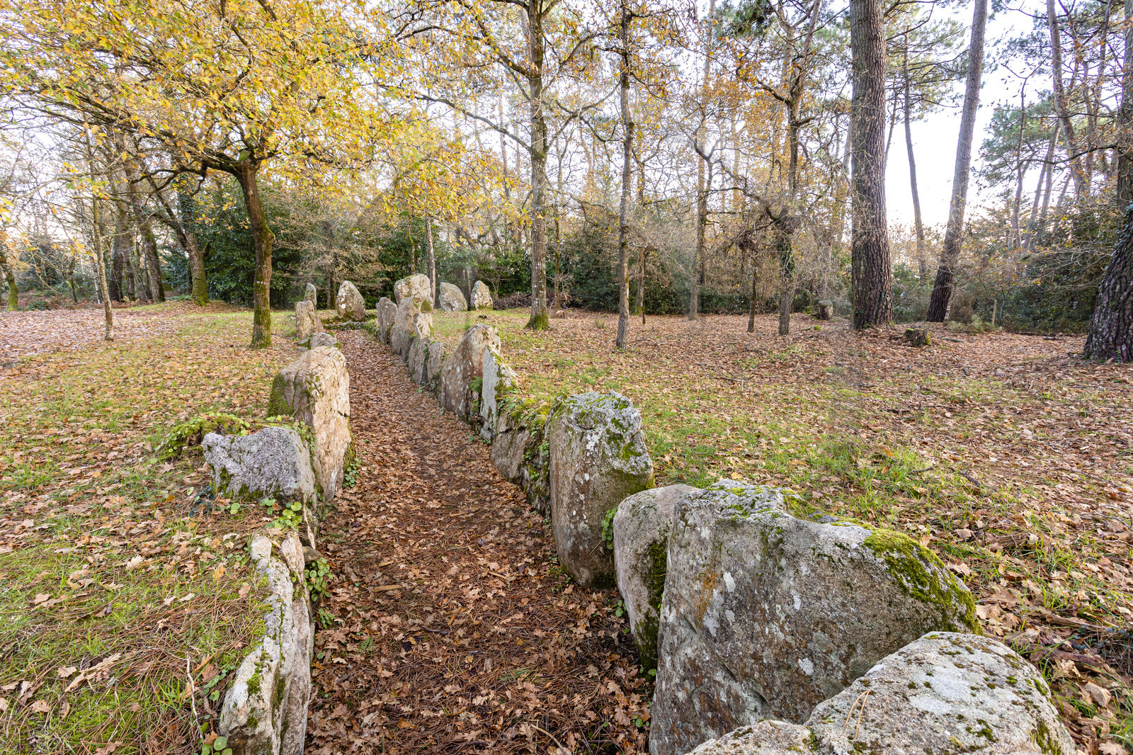 Allée couverte de Luffang Tal-er-Roch à Crach.
