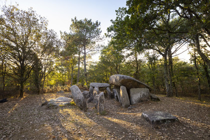 Dolmen de Kériaval