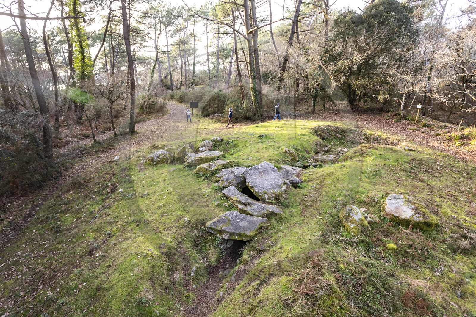 Le dolmen de Mané-Ven-Guen ou Toulvern situé à Baden