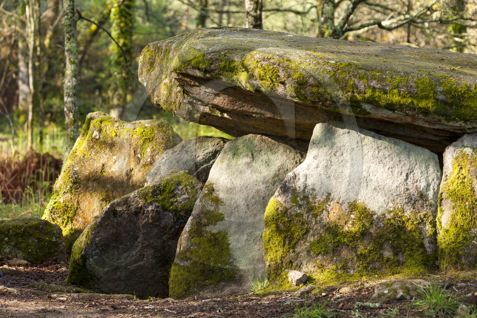 Le dolmen de la Loge au loup à Trédion