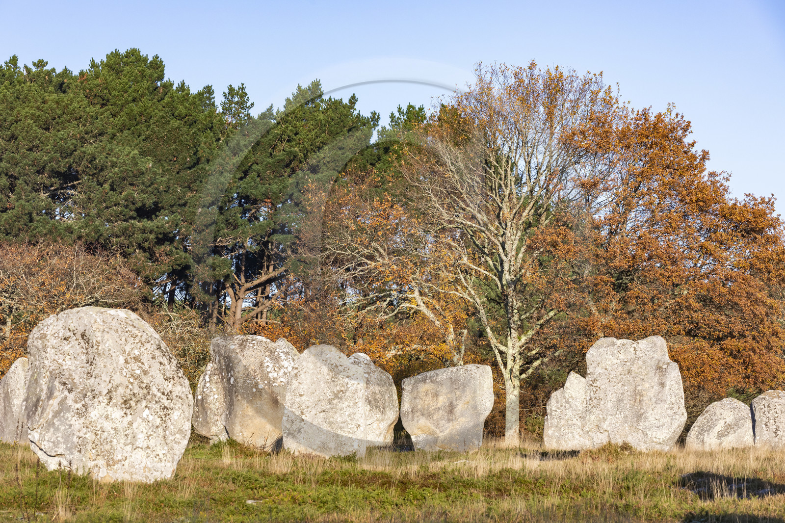 Alignement de Kermario_Carnac