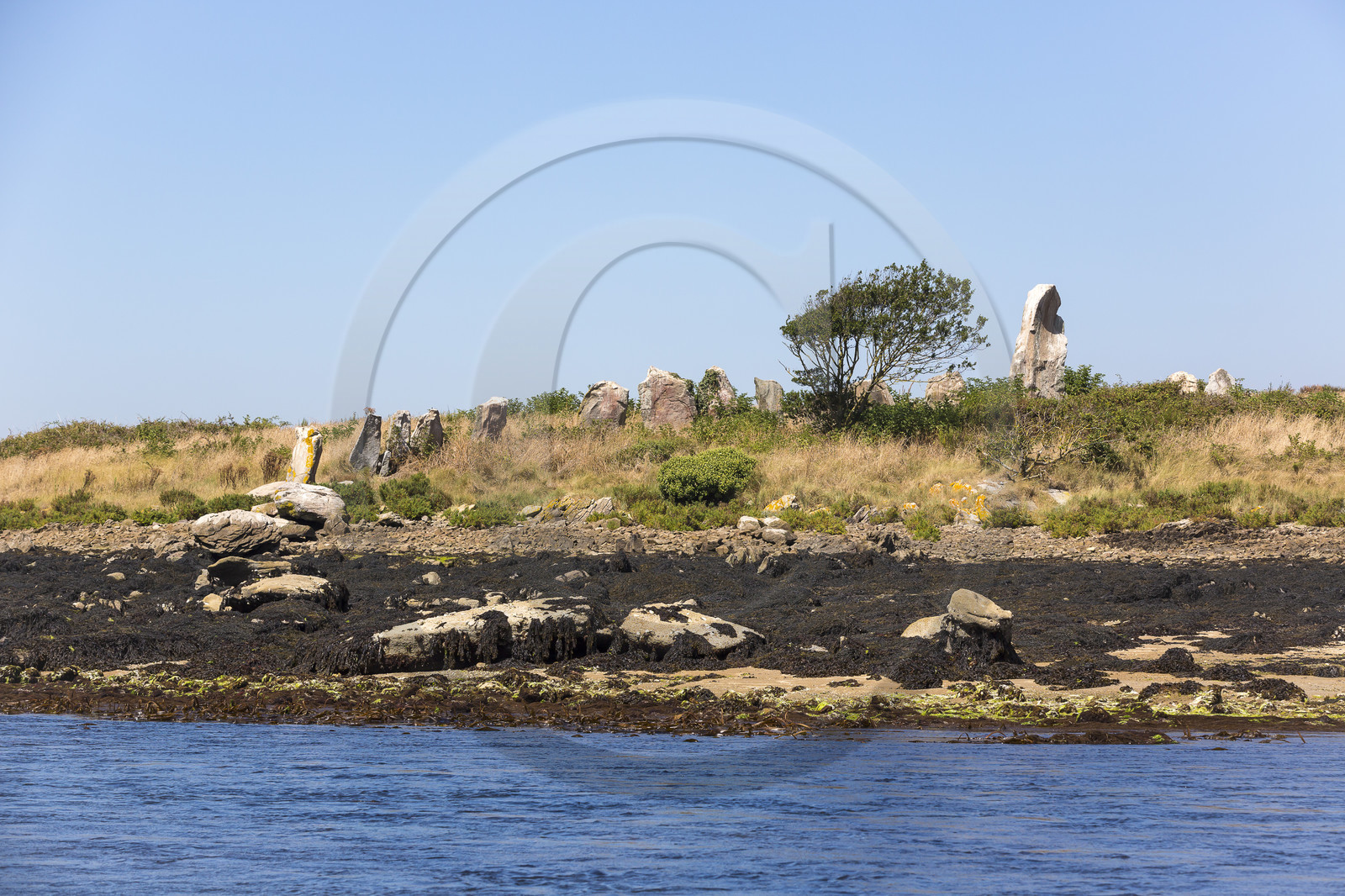 Er Lannic dans le golfe du Morbihan à Arzon