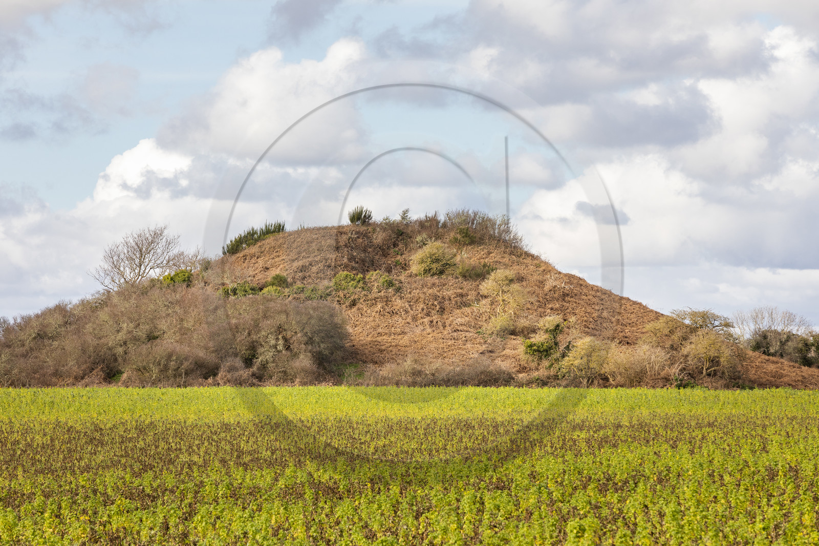 Tumulus de Tumiac à Arzon