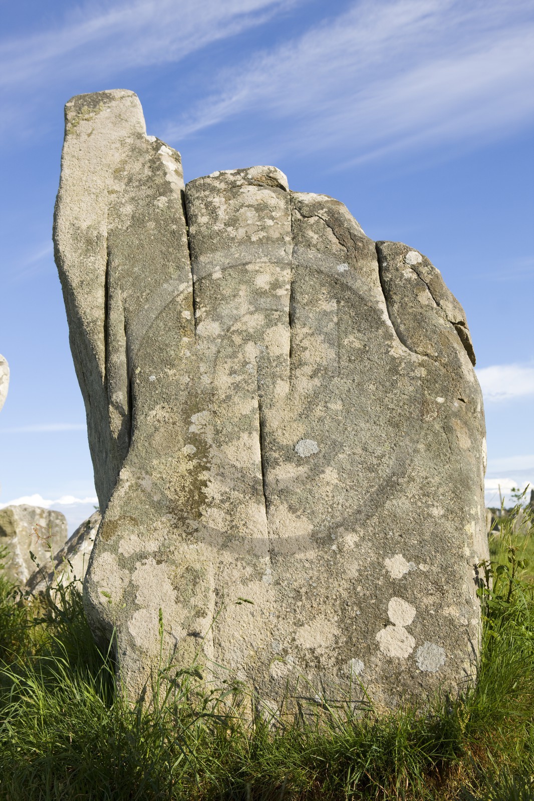 Alignement de Menhirs de Kerzerho à Erdeven (56410).