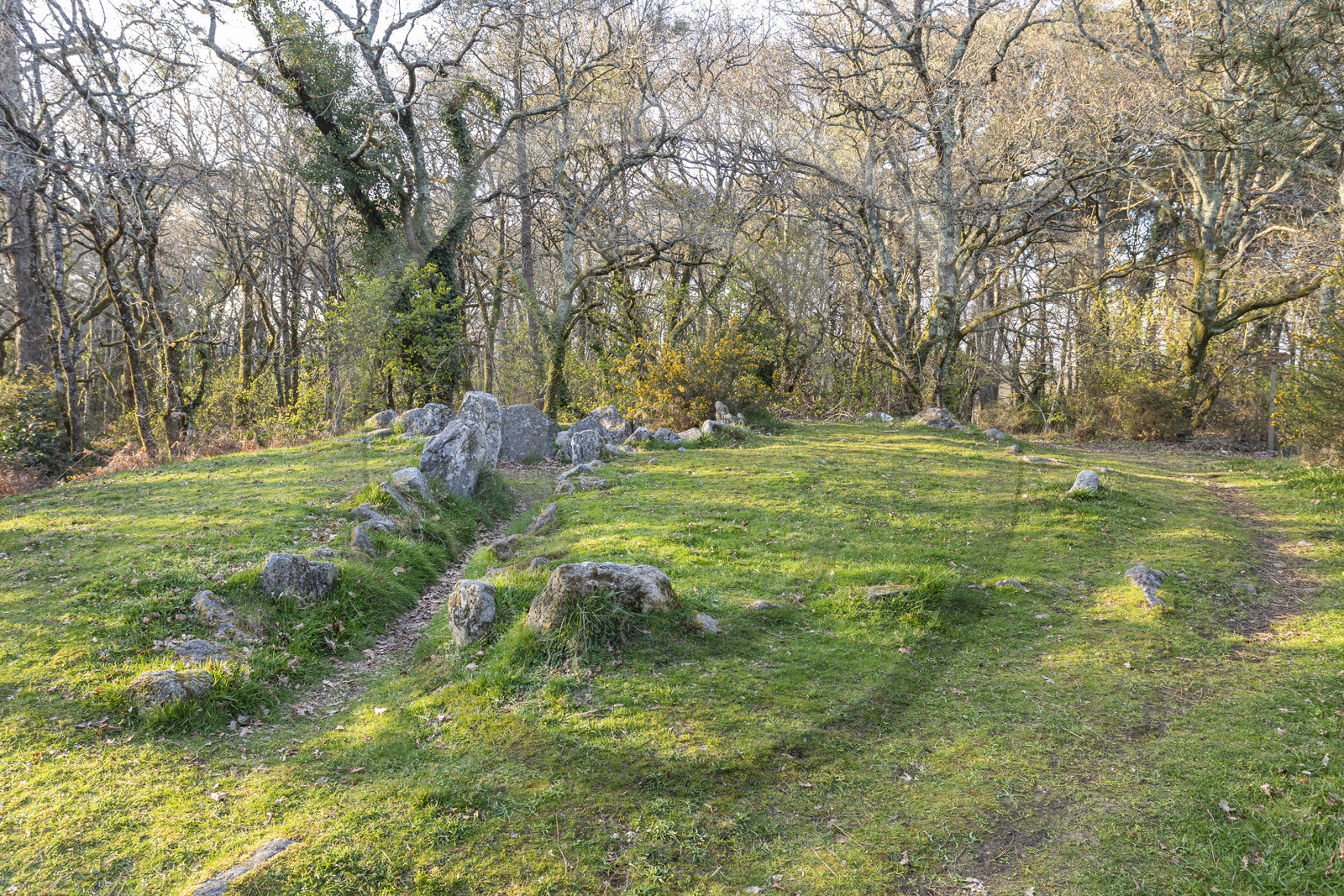 Le site mégalithiques de Mané Bogad à Ploemel