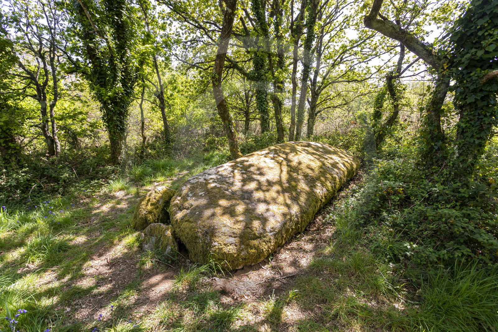 Dolmen de Men Hiaul (Kerblay) à Sarzeau