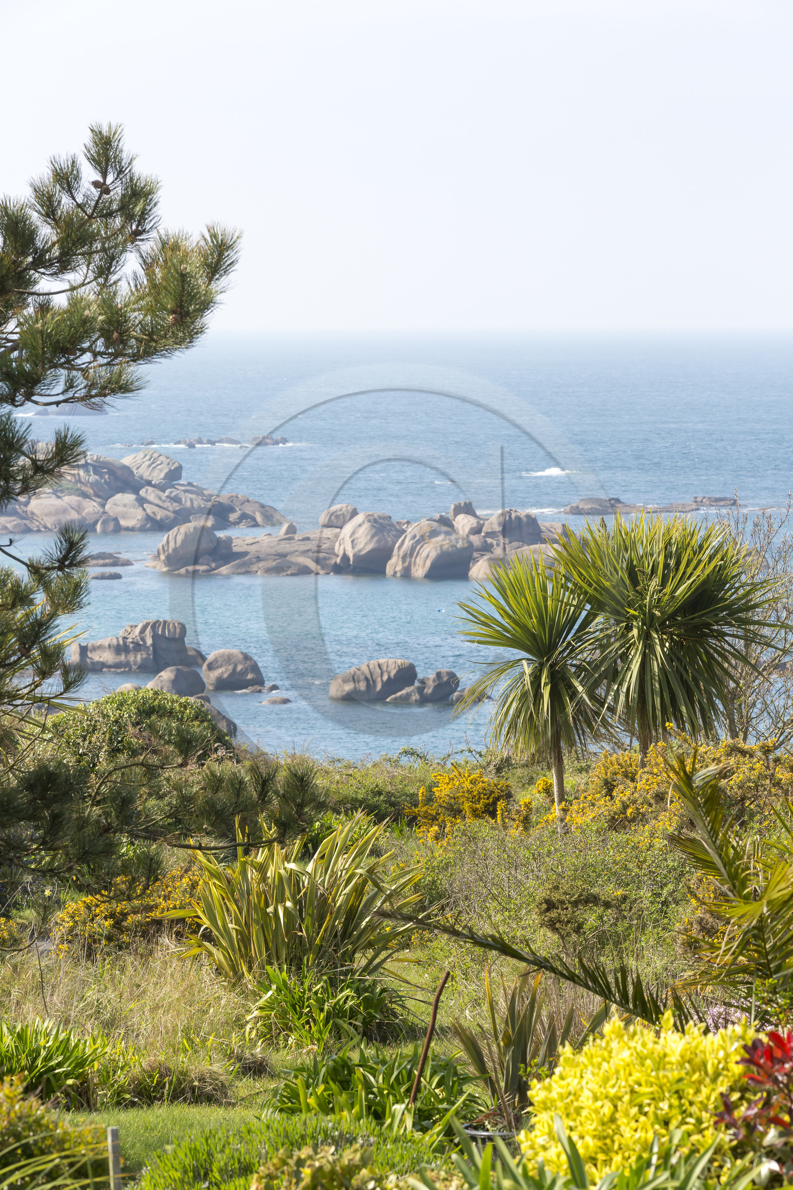 Panorama sur la côte de Tregastel