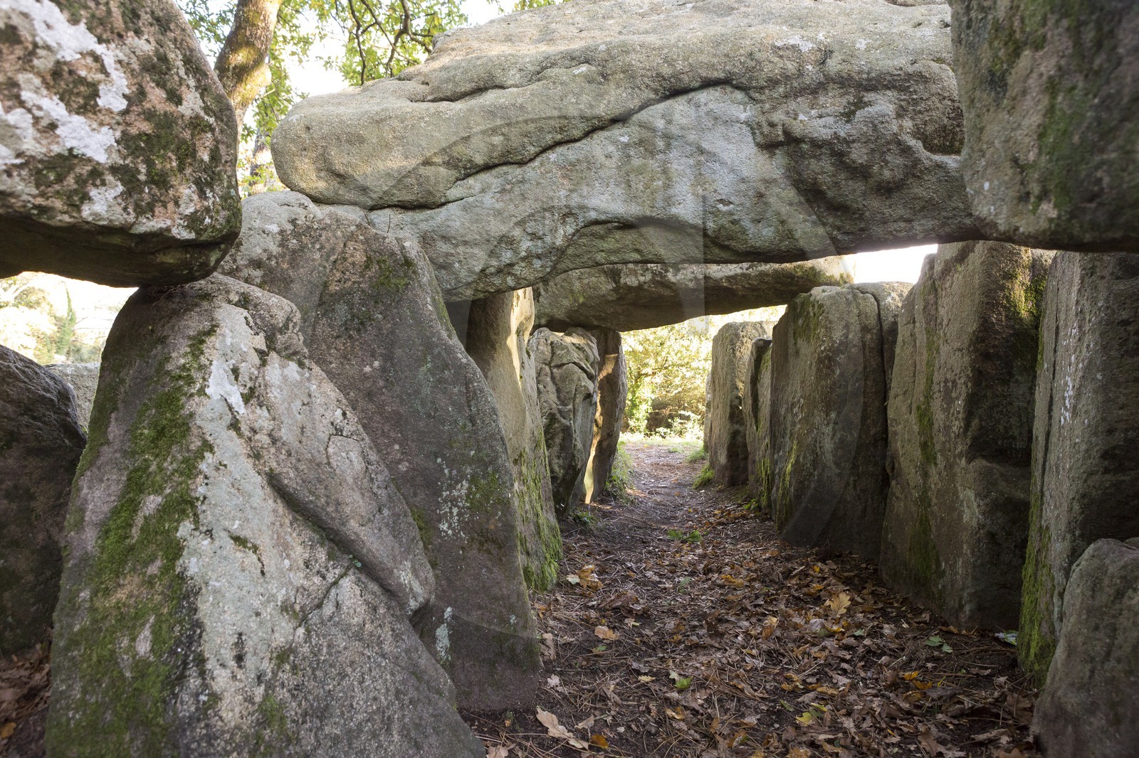 Le dolmen de Mané Groh _ Erdeven
