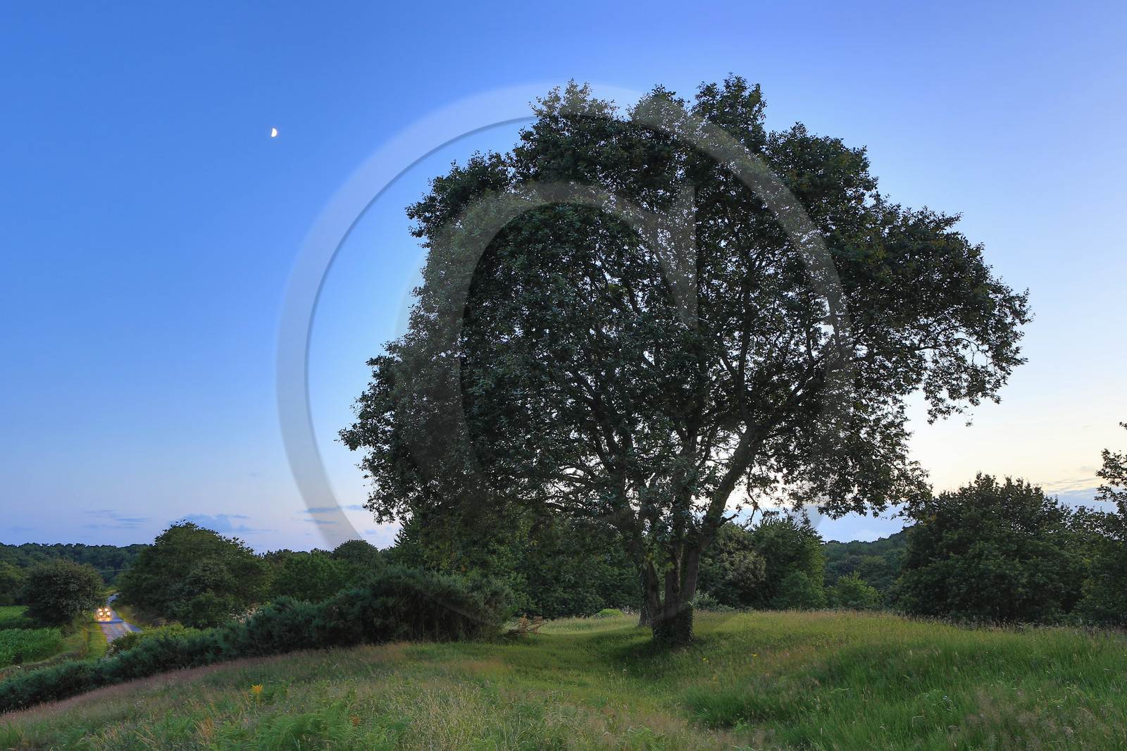 Le Tumulus du Moustoir à Carnac