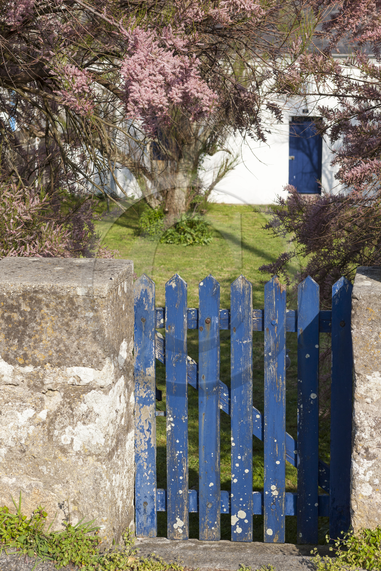 Gavres_Maisons typiques