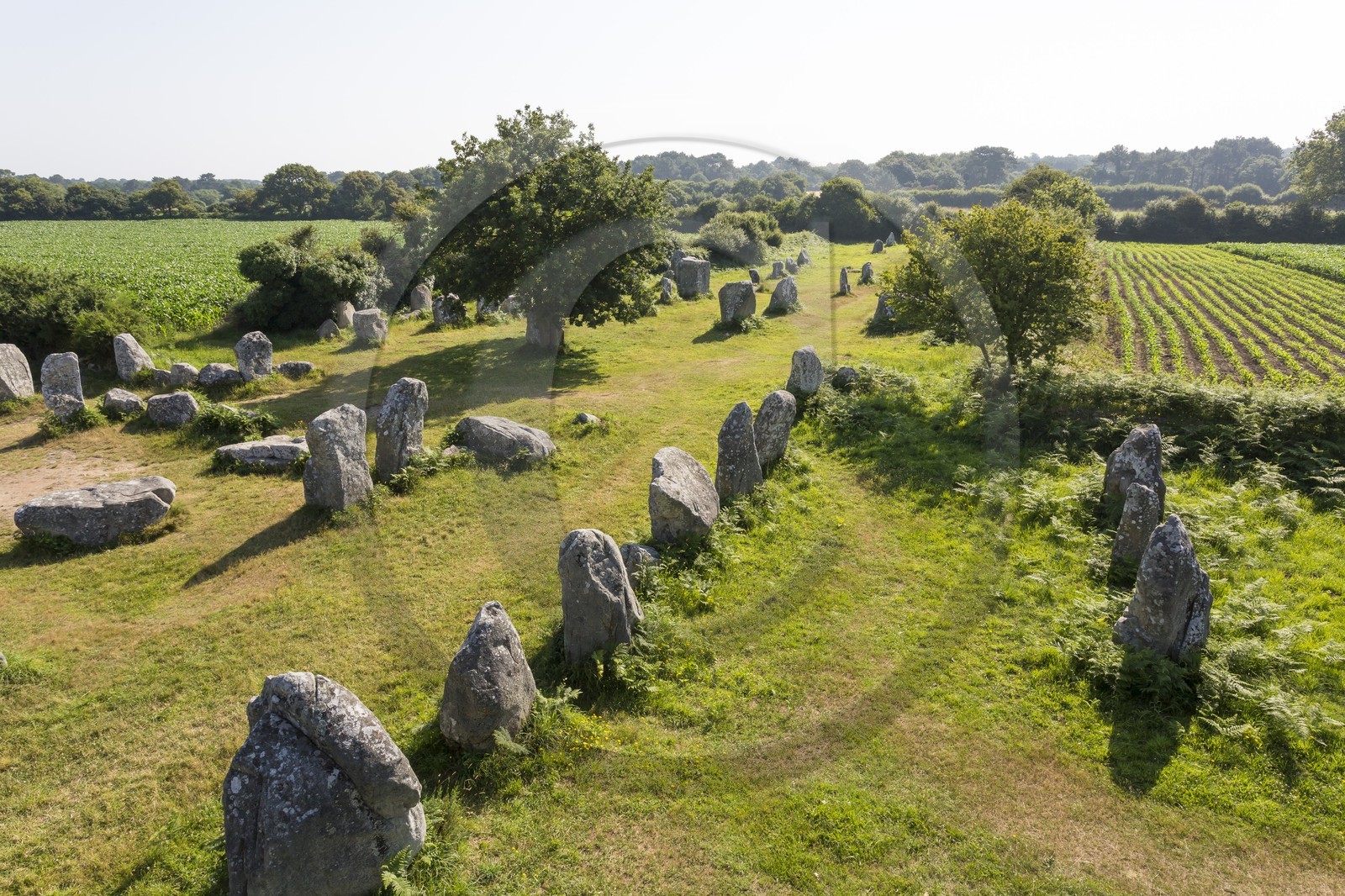 Alignements de Kerzerho _ Erdeven