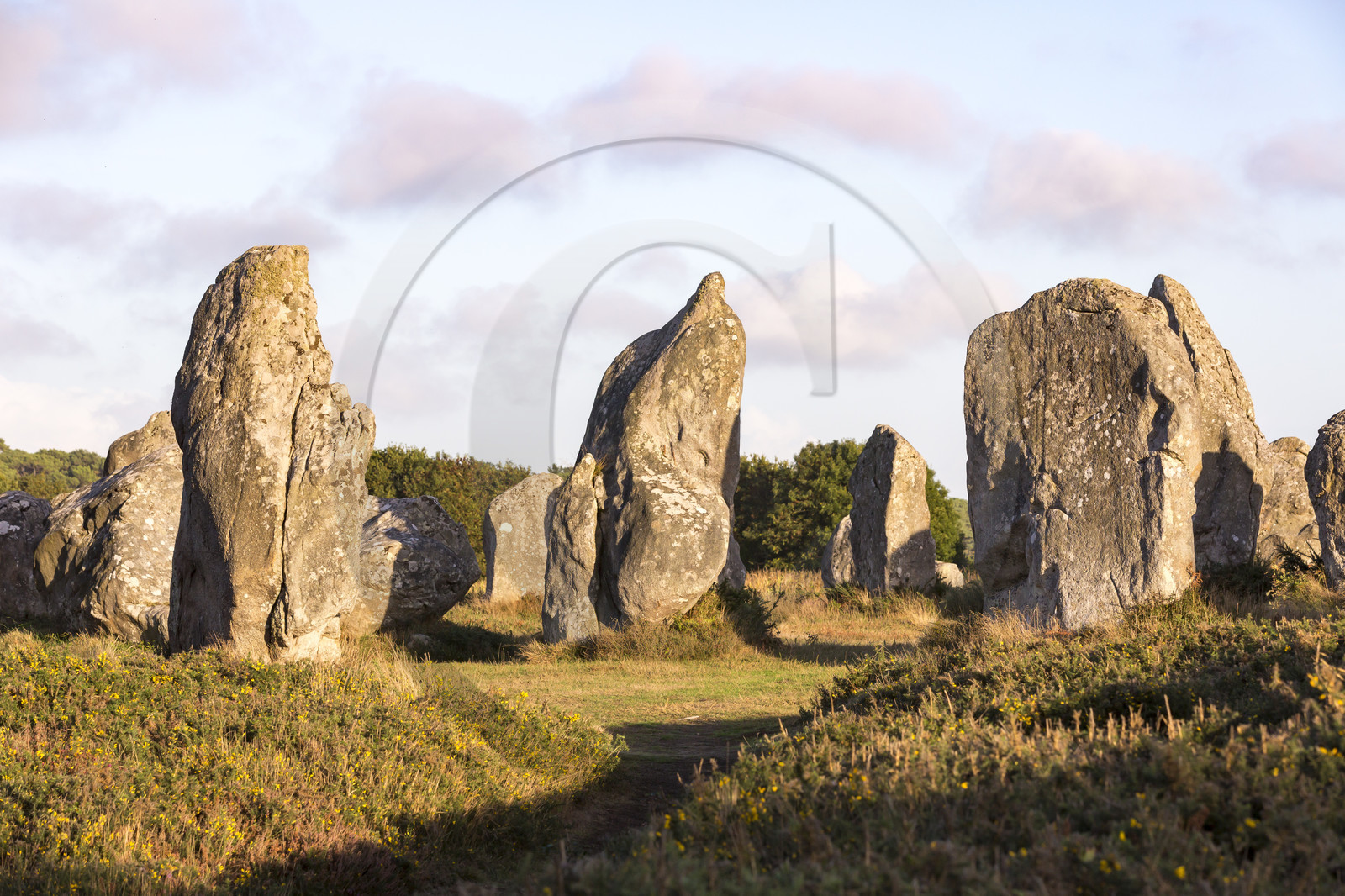 Les alignements de Kermario _ Carnac