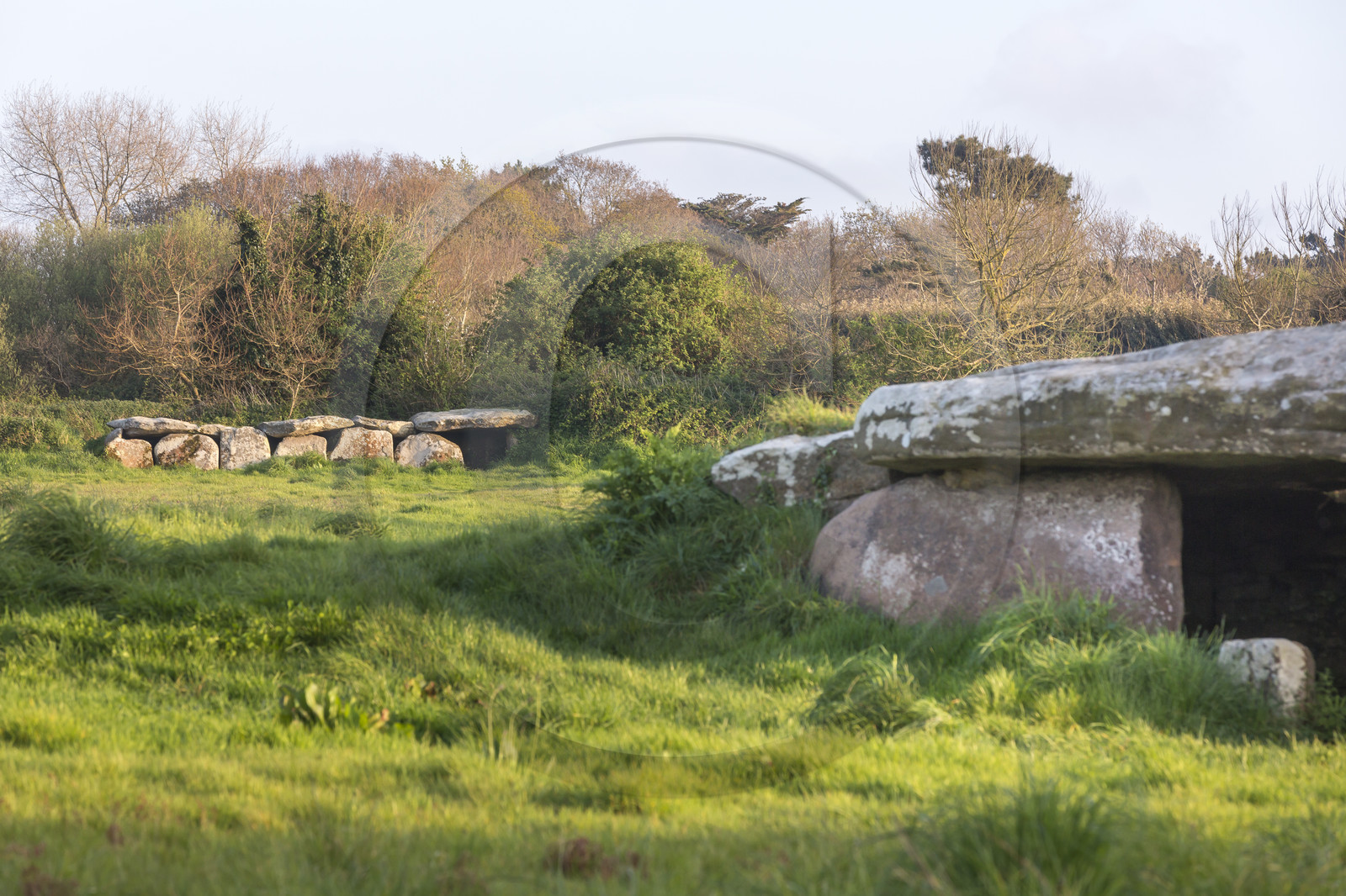 Le Dolmen de Kerguntuil