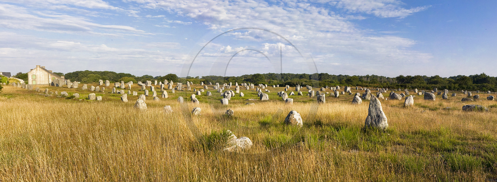 Alignements de Menhirs du Ménec à Carnac