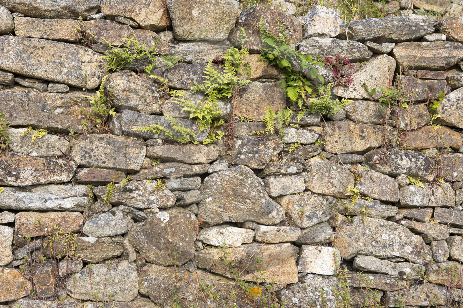 Le cairn du Petit Mont _ Arzon